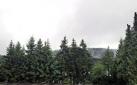 Winterberg Appartement 21028